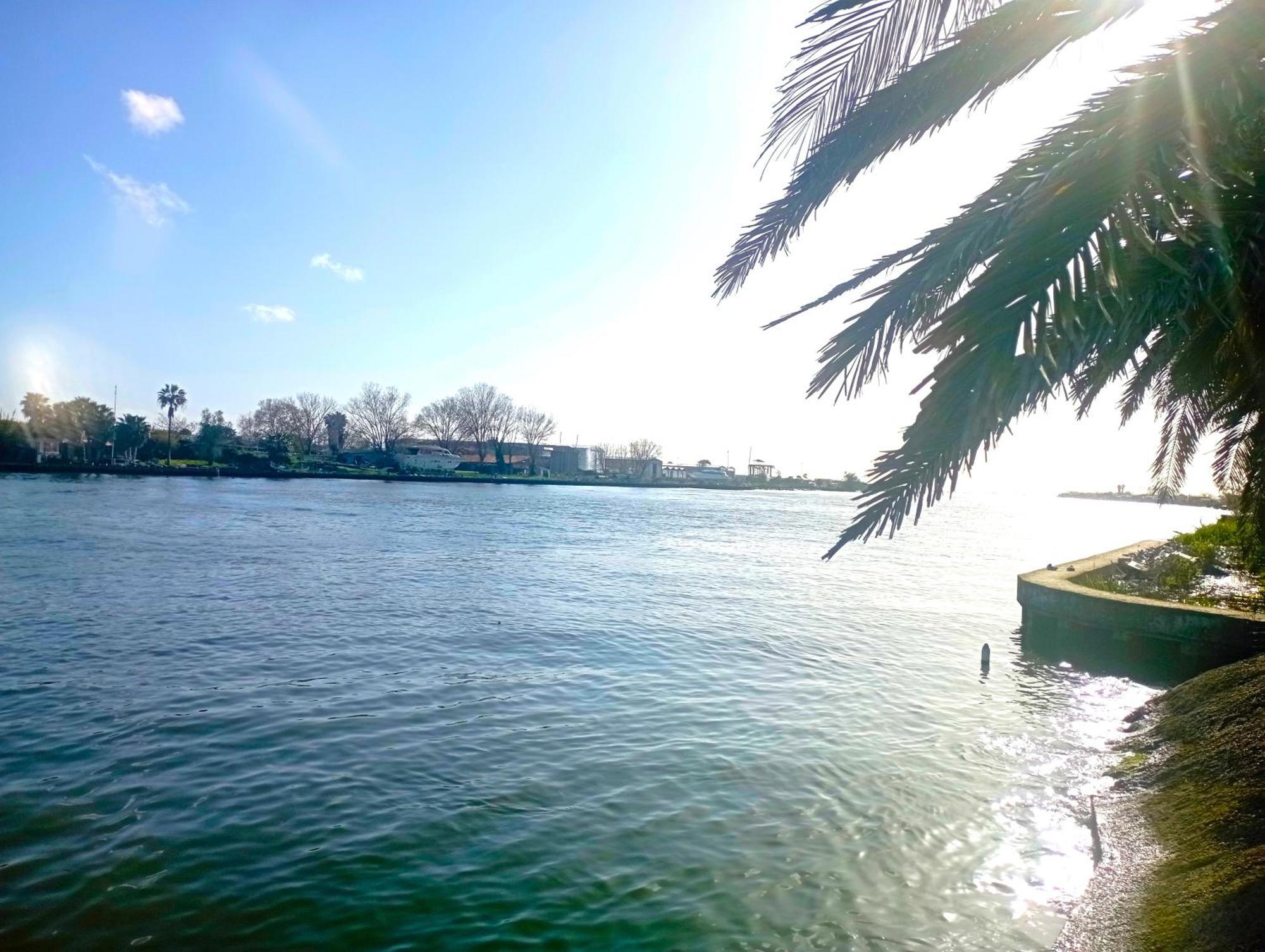 A Casa Dell' Artista Villa Fiumicino Ngoại thất bức ảnh